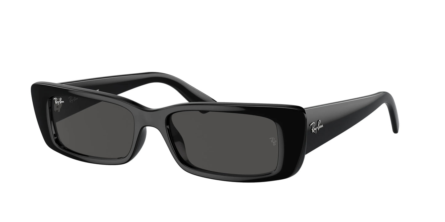 RAY-BAN Classic Round Frame Sunglasses for Men