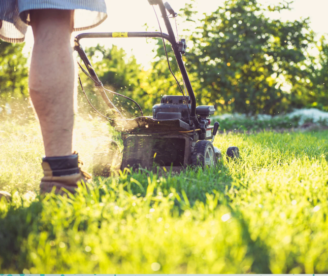 Lawn and Garden
