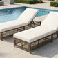 TREXM Outdoor Lounge Chair with Cushion and Wheels