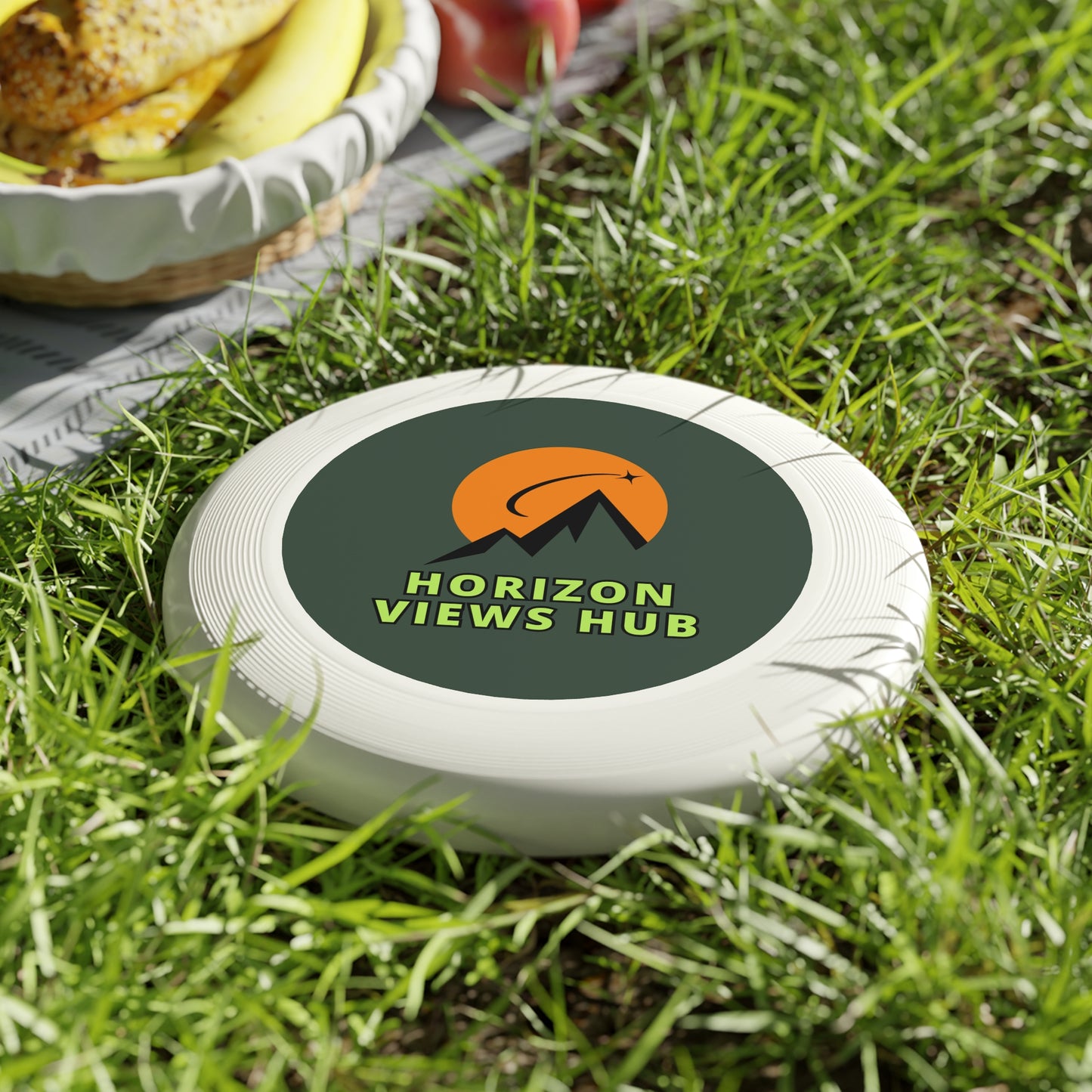 Horizon Views Hub Outdoor Flying Disc
