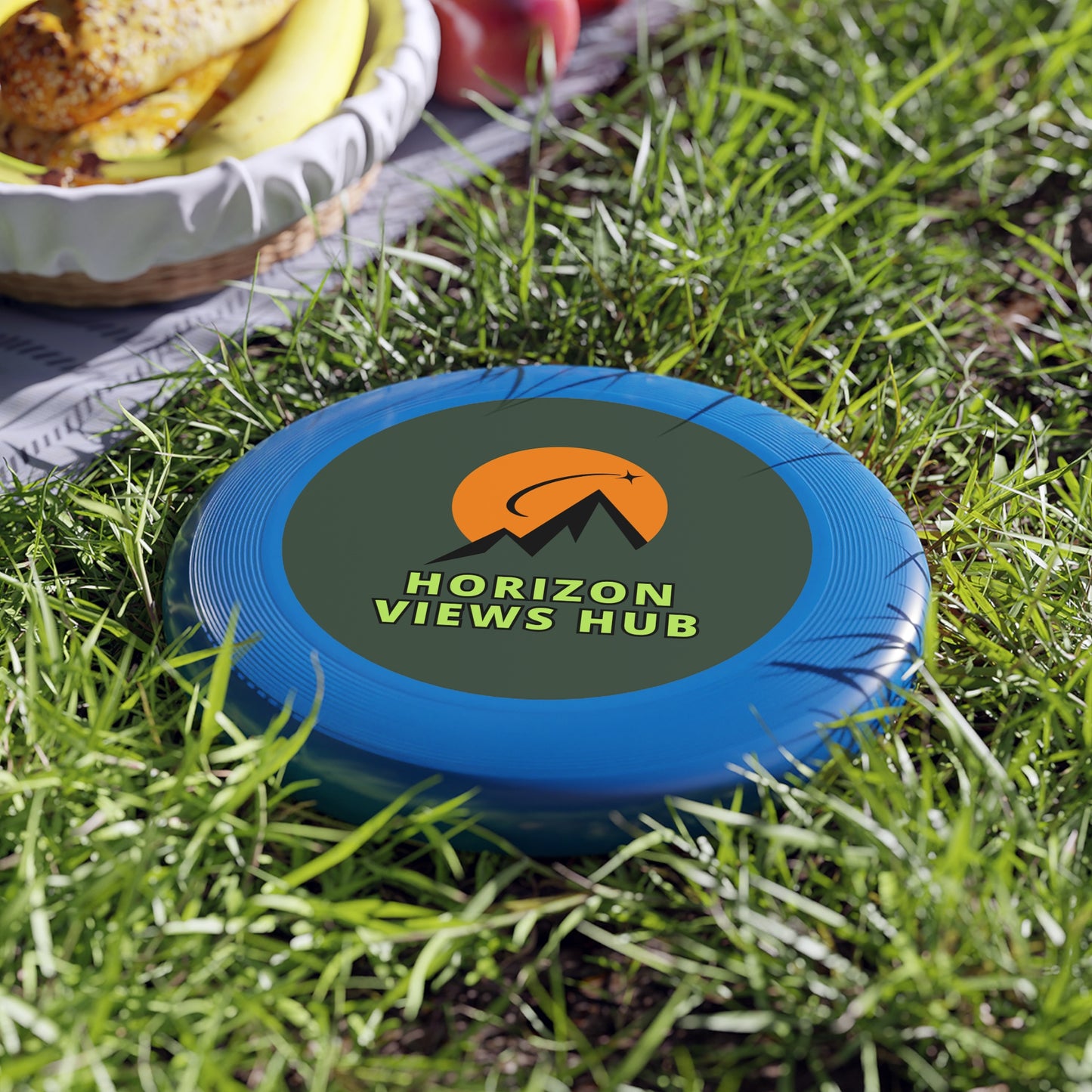 Horizon Views Hub Outdoor Flying Disc