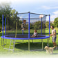 14FT Kids Trampoline with Safety Enclosure Net