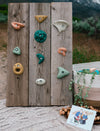 Premium Rock Climbing Holds (Earth Tones) - Indoor Climbing Wall