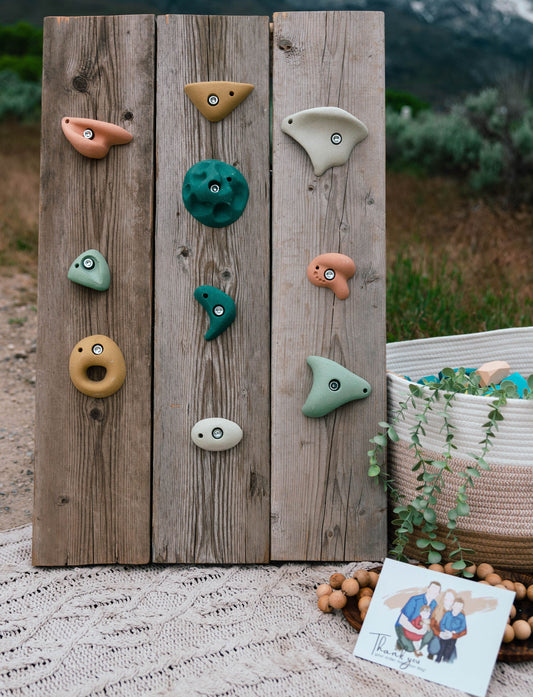Premium Rock Climbing Holds (Earth Tones) - Indoor Climbing Wall