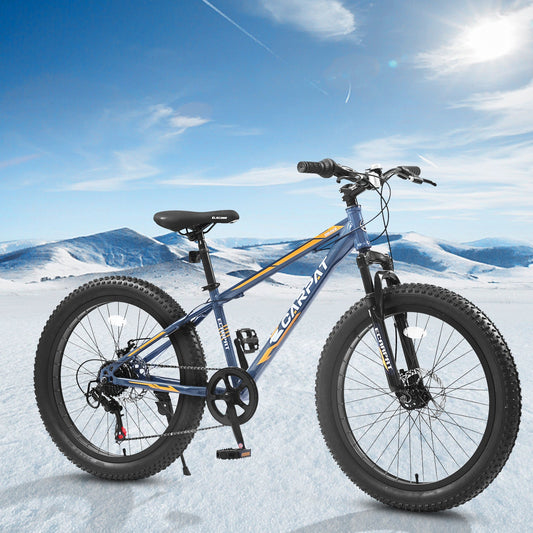 Elecony 24 Inch Fat Tire Bike - Adult/Youth