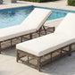TREXM Outdoor Lounge Chair with Cushion and Wheels