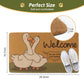 FEXIA Goose Pattern Indoor Outdoor Welcome Mat Rug 29x17 Polyester