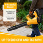 Powerful Cordless Leaf Blower