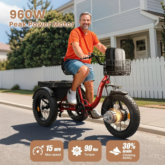 QRONGE 960W Peak Electric Bike For Adults 36V Battery Trike