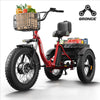 QRONGE 960W Peak Electric Bike For Adults 36V Battery Trike