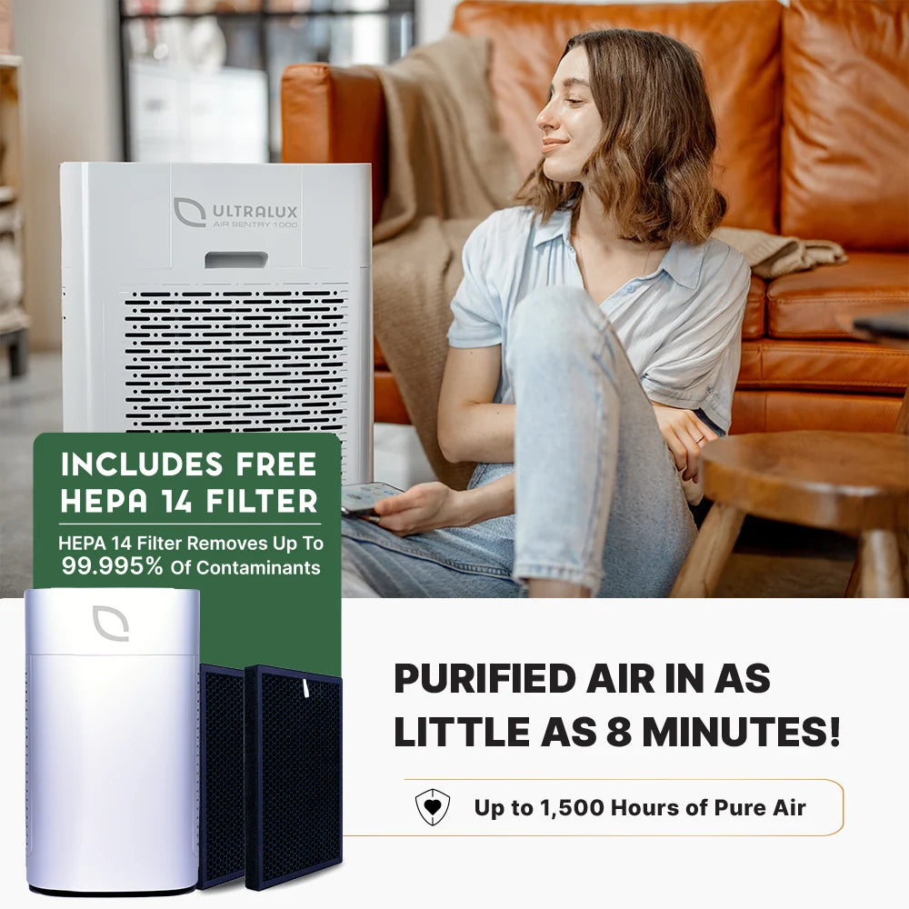 Air Sentry 1000