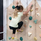 Premium Rock Climbing Holds (Earth Tones) - Indoor Climbing Wall