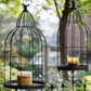 Vintage Garden Birdcage Display