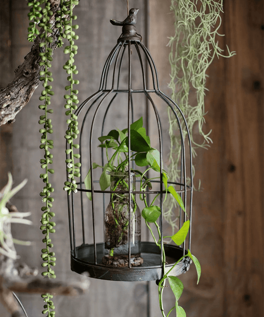 Vintage Garden Birdcage Display