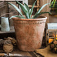 Large Terracotta Red Concrete Garden Planter Flower Pot
