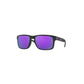OAKLEY Holbrook Sunglasses OO9102 for Men