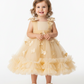 Toddler & Little Girls Birthday & Party Butterfly Dress