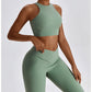 Women's Seamless Yoga Set Fitness Bra Leggings Activewear
