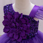 Toddler & Little Girls Birthday & Party Butterfly Dress