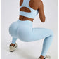 Women's Seamless Yoga Set Fitness Bra Leggings Activewear
