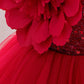 Toddler & Little Girls Birthday & Party Butterfly Dress