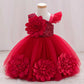 Toddler & Little Girls Birthday & Party Butterfly Dress