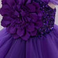 Toddler & Little Girls Birthday & Party Butterfly Dress