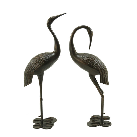 Bird Animals