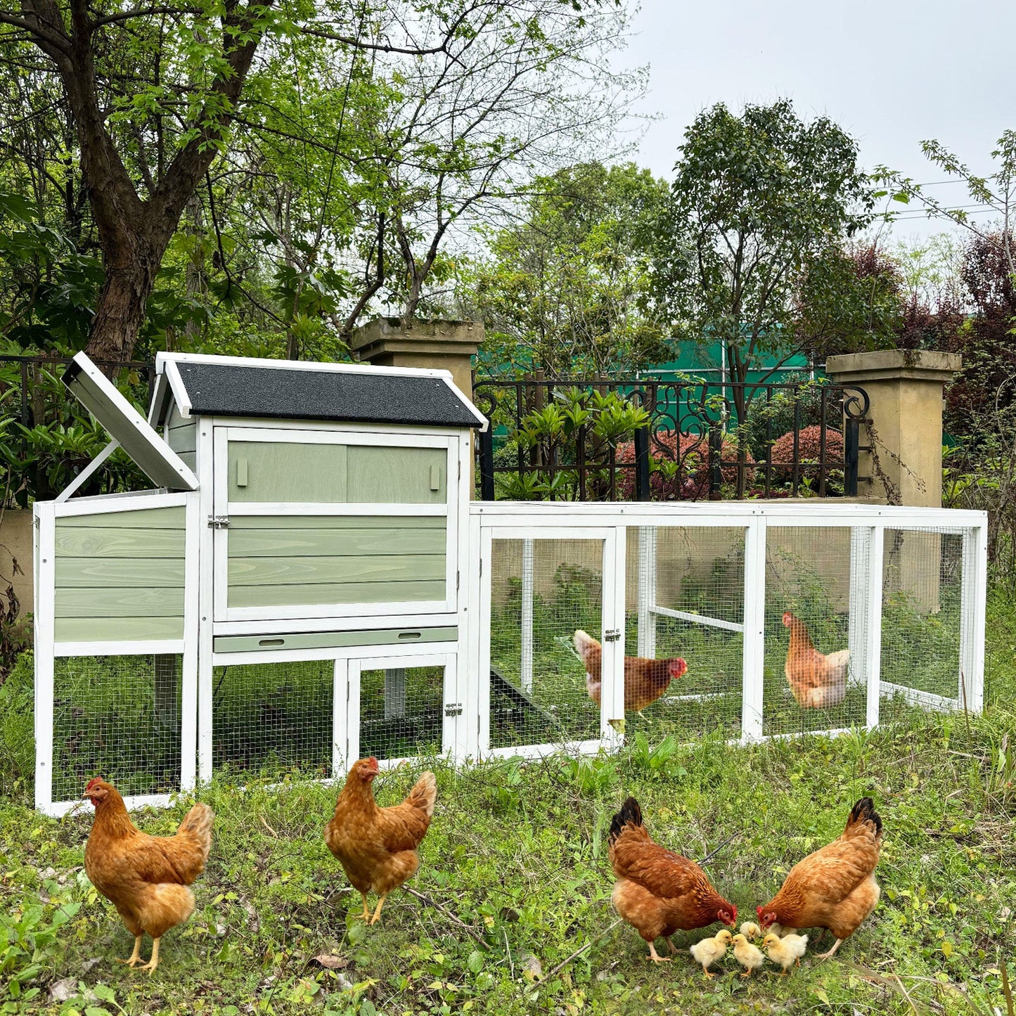 Wooden Chicken Coop with Run and Nesting Box