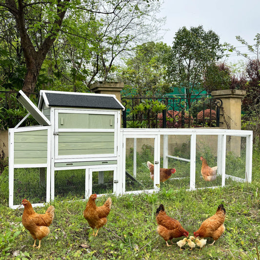 Wooden Chicken Coop with Run and Nesting Box