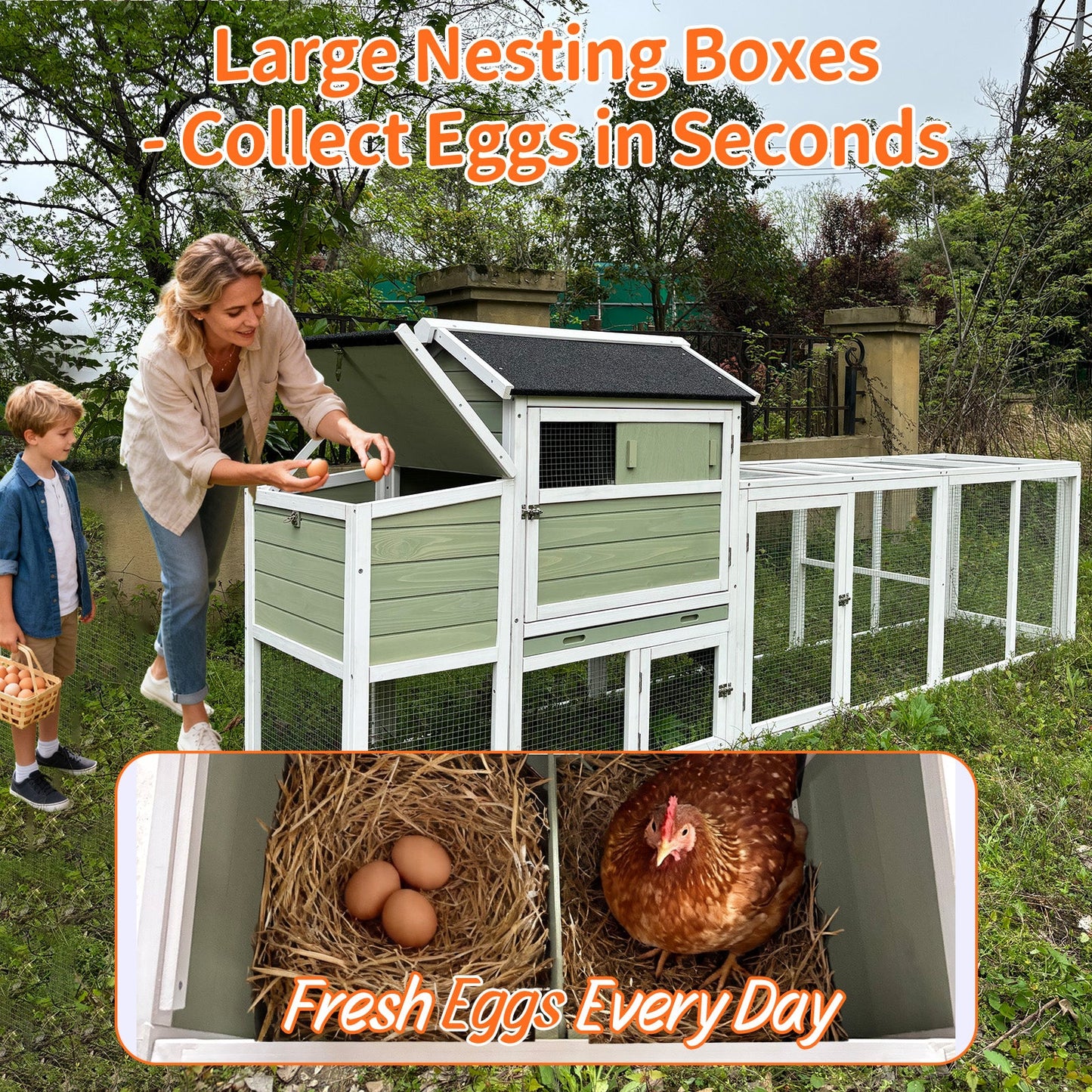 Wooden Chicken Coop with Run and Nesting Box