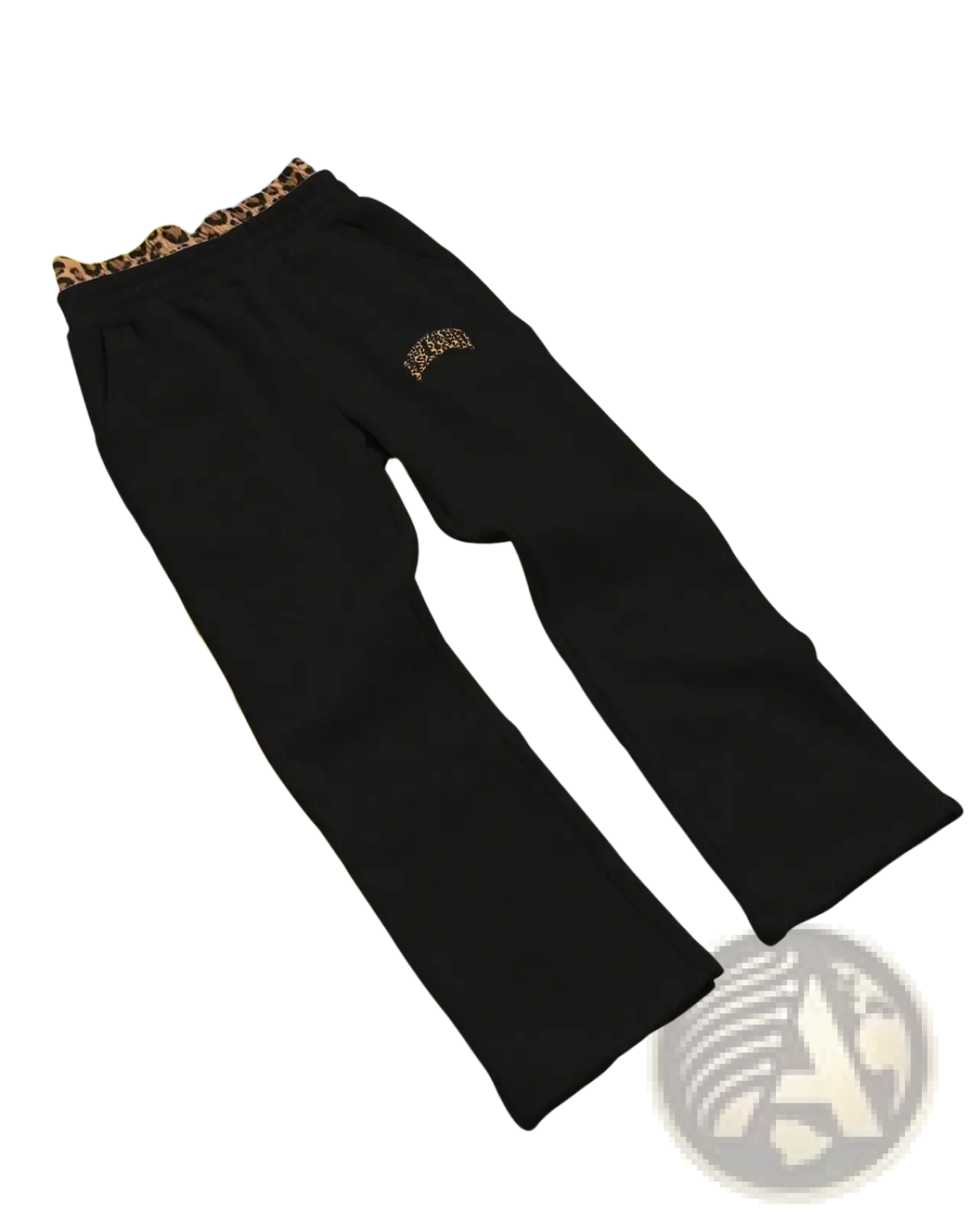 Leopard Print Hoodie and Sweatpants Set